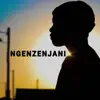 TS GWAZELA - Ngenzenjani - Single